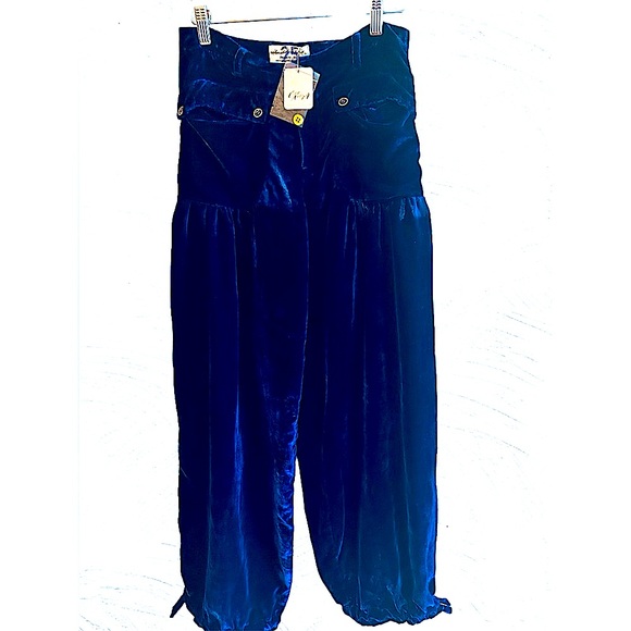 FREE PEOPLE NWT Host Pick 🎉 WE THE FREE VELVET LOTUS PANT BLUE Waist27 size 25 - Picture 10 of 10